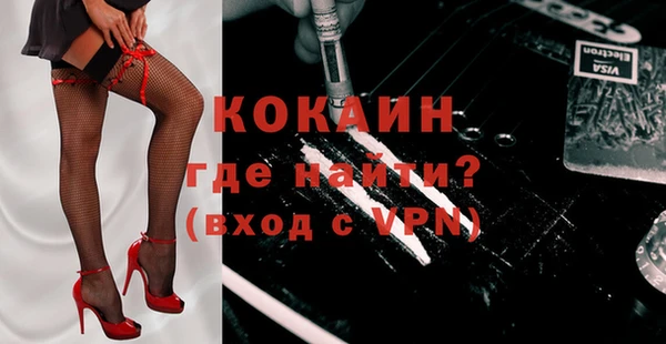 твердый Пересвет