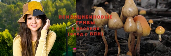 твердый Переславль-Залесский