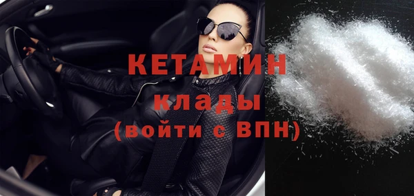 твердый Пересвет