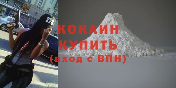 твердый Пересвет