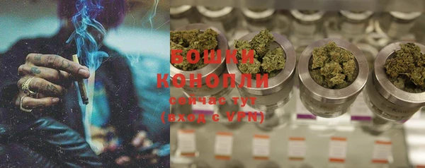 твердый Пересвет